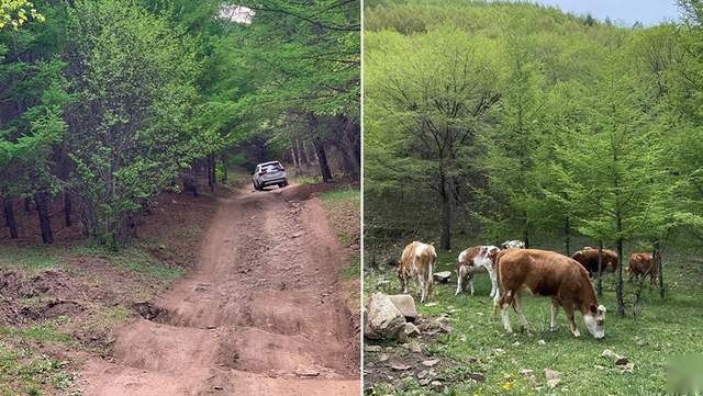 “原厂”就能轻松上山？热合谷体验三菱欧蓝德