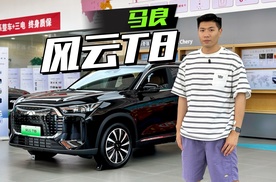 抄底家用SUV，风云T8捡大漏