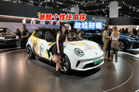 潮酷个性任由你 欧拉好猫痛车出圈