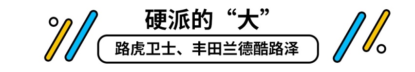 一个字就是大！这些大个子SUV什么风格都有，包你满意