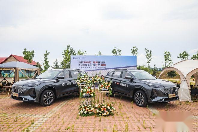 2023国内最畅销的10款车型：Model Y年度销冠，海鸥成为最大黑