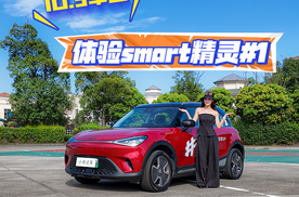 ID.3车主体验smart精灵#1，直言想认亏换车