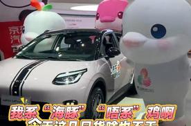 我系“海豚”“唔系”鸡啊! 今天这几只货啥也不干，埃安展台现身澄清