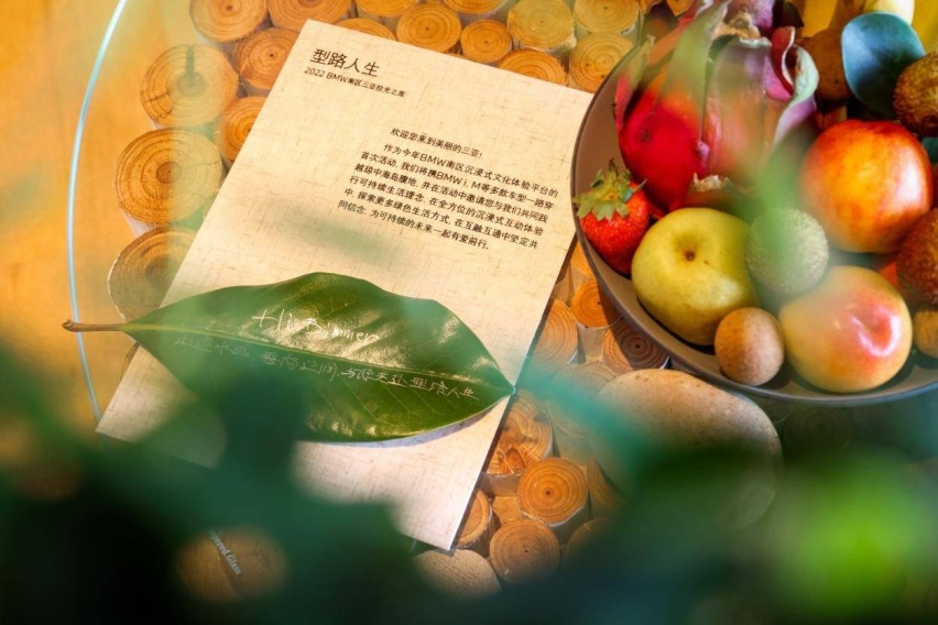 试驾官丨宝马i家族大横评，最好开的竟然是“大块头”iX？