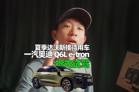 夏季达沃斯接待用车公布 一汽奥迪Q6L e-tron很显眼
