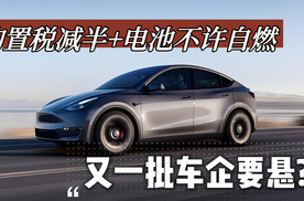 新能源购置税减半+电池不许自燃，又一批车企要悬？