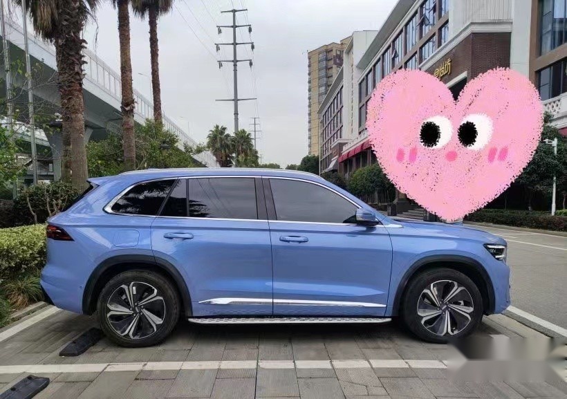 一车当三车用，星越L Hi·P实际驾控是真的牛！