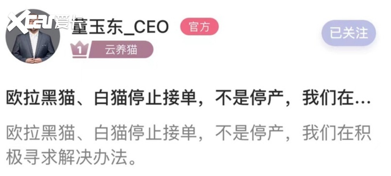 连车企也被“褥羊毛”，这4款国产车卖一台亏一台，被迫停售了！
