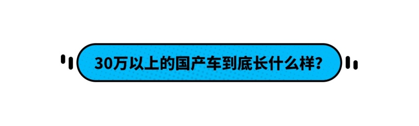 一开口就是30万！售价敢于硬刚BBA的国产车长啥样？