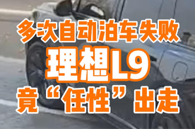 理想L9多次自动泊车失败，竟选择“任性”冲到马路上？