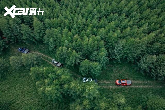 全新一代福特F-150猛禽 野起来有多爽