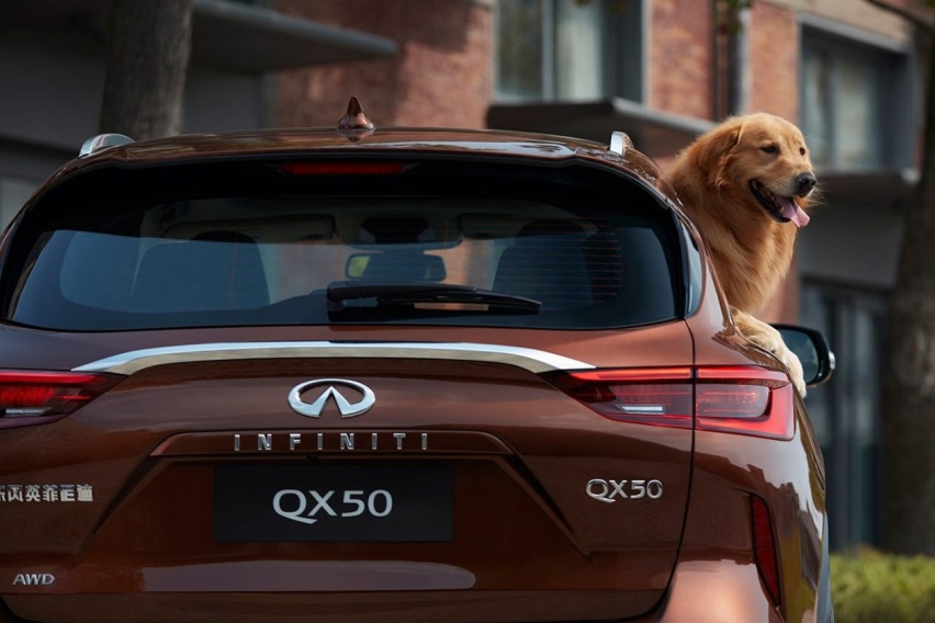 6万降幅 2020英菲尼迪QX50配置升级 性价比表现不错