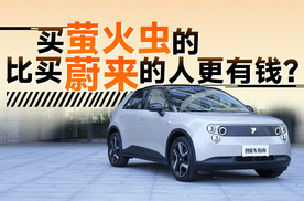 起售价近同级车两倍，为什么蔚来萤火虫还很多人买？| 智能车指南