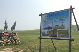 环华游记 内蒙篇：《狼图腾》故事发源地“野狼谷”及狼文化