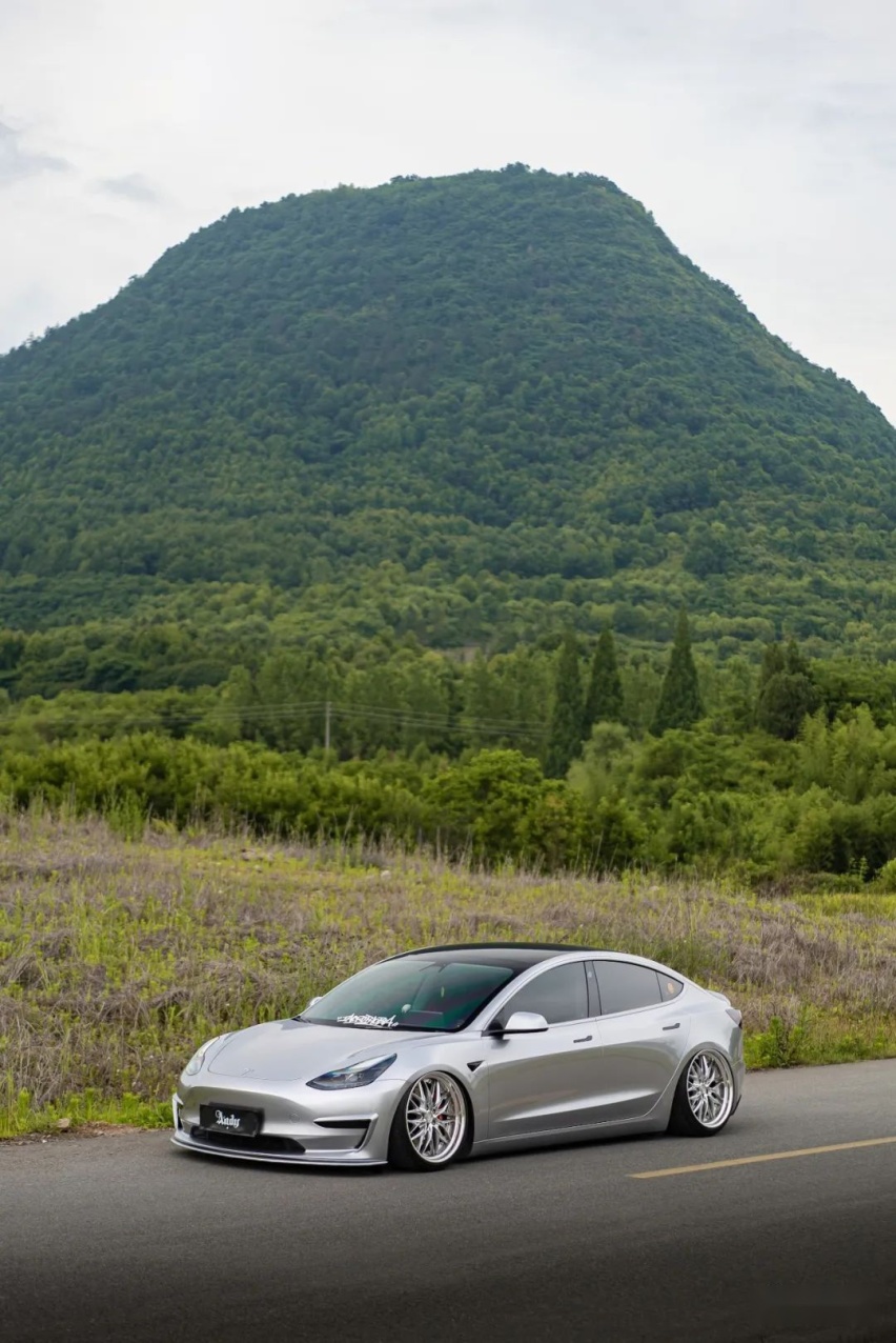 姿态风特斯拉Model 3，从迷彩战斗范变身成优雅绅士