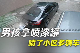 “熊孩子”用自喷漆将多辆车的车牌喷黑，民警：家长承担损失赔偿