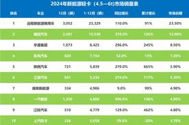 2024新能源轻卡观察：远程力压福田，比亚迪成最大黑马