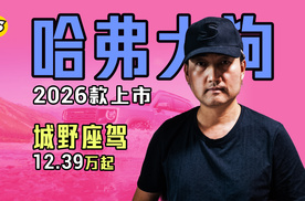 2026款哈弗大狗上市 可城可野12.39万起 是户外达人喜爱的座驾