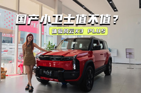 10.99万元起，风云X3 PLUS：国产小卫士来了