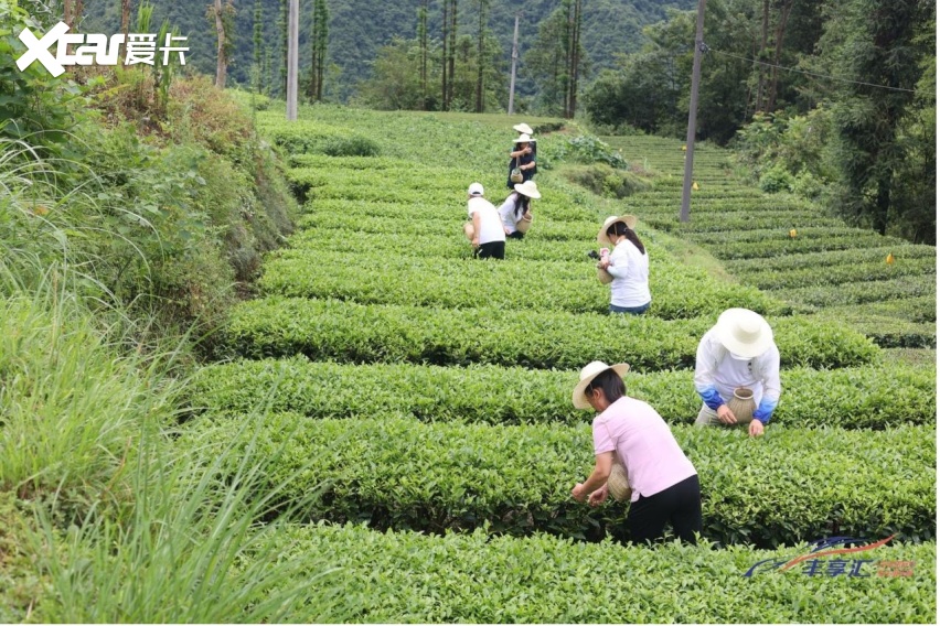 一汽丰田丰享汇丰收计划·首站五峰助农之旅启幕