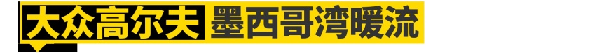 其实......丰田的所有车都叫皇冠