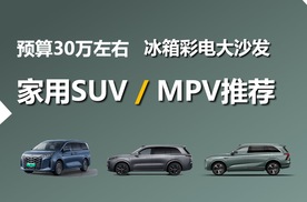 预算30万左右,冰箱彩电大沙发,家用SUV/MPV推荐