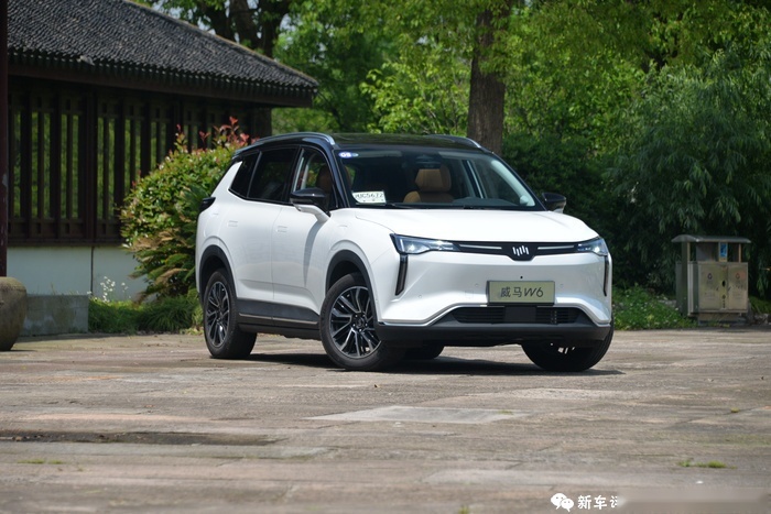 410亿打水漂！曾与蔚小理齐名，怎么就破产收场了？