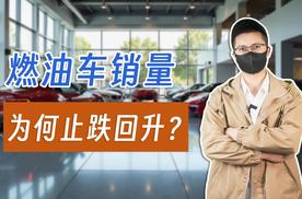 新能源汽车渗透率首超50%，燃油车销量却止跌回升？