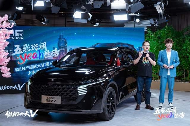 启辰大V黑马版上市：变化不大但更有性格