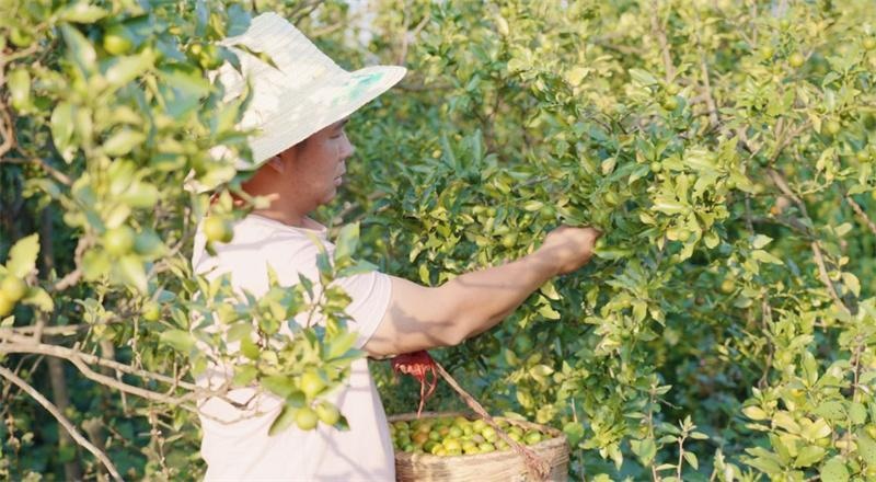 为黯淡无光注入希望！“点亮计划”在岁月流转中焕发乡村新生