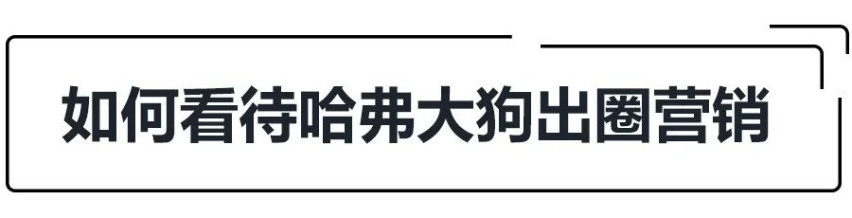预售12.5万起，全新SUV车型大狗会是哈弗SUV新爆款吗？
