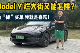 Model Y 烂大街又能怎样？为“标”买单，我就是喜欢