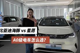 比亚迪海豚vs星愿：A0级电车怎么选？