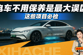 电车保养是智商税？注意这几项不查，省小钱花大钱