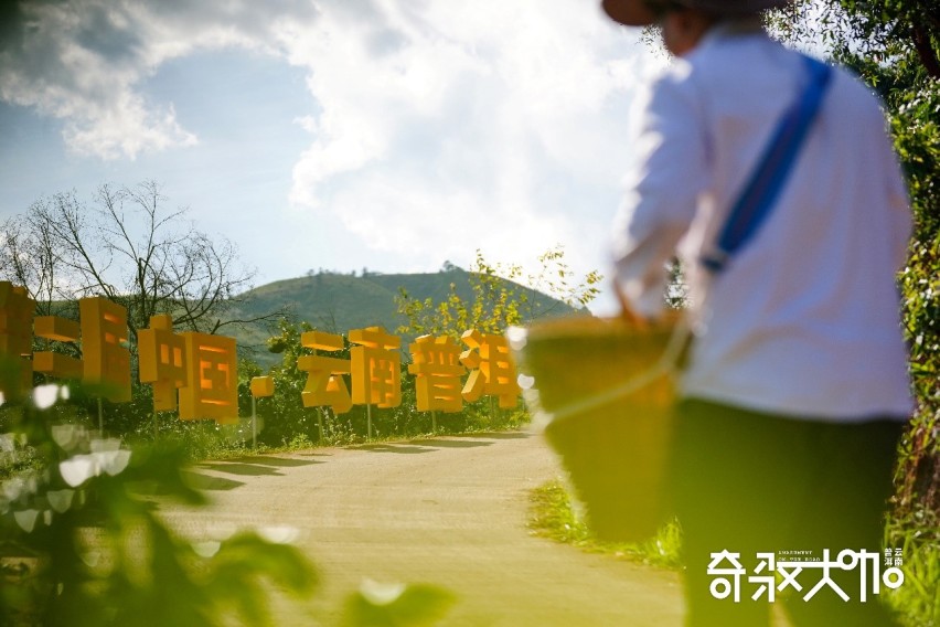 奇驭大咖啡尝普洱行动，户外出行IP全面赋能品牌营销与区域产业发展