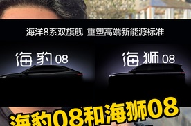 海豹08和海狮08要来了！