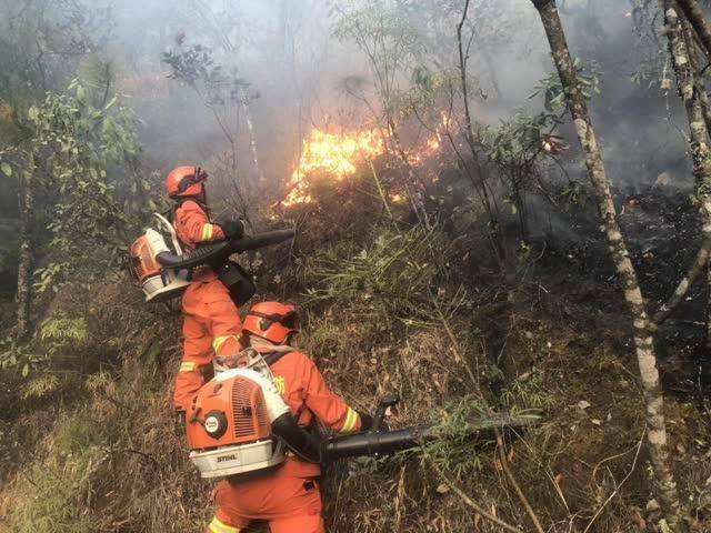 雲南麗江森林火災上千人參與撲救