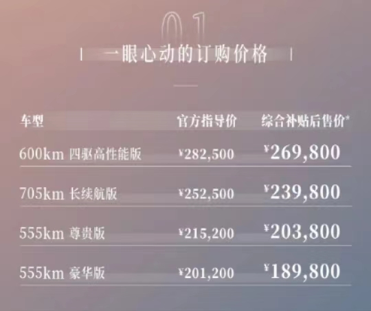 惠州南菱欧拉——闪电猫上市发布会