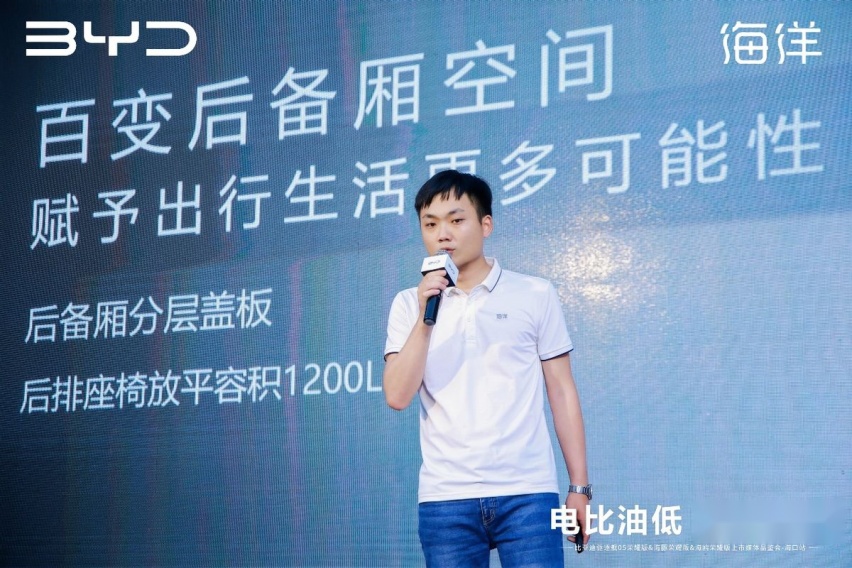 最高降价2.2万元，2024款驱逐舰05/海豚/海鸥登陆海南