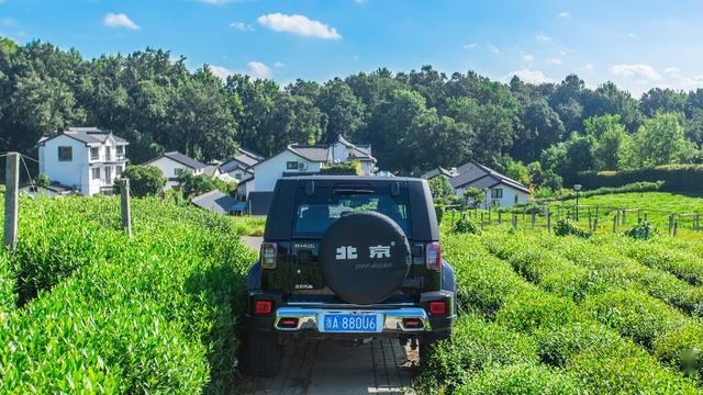 清明小长假踏青指南，一场“野”行见最自然的风景