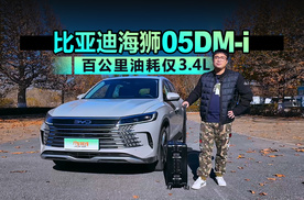 579km实测百公里油耗 3.4L，返乡回家选海狮05DM-i