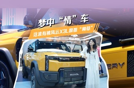 梦中“情”车？这波有被风云X3L狠狠“种草”！