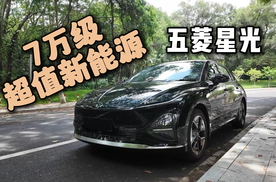 7万价位就能买到新能源中型车，这是人民需要的性价比吗？