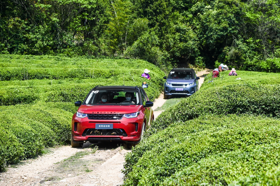 ׌lF܇ۼt5׃ԇ{ȫ·lF\Ӱ