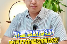不是偶然爆红！岚图双轮驱动的秘密：技术攒够了，爆款自然来