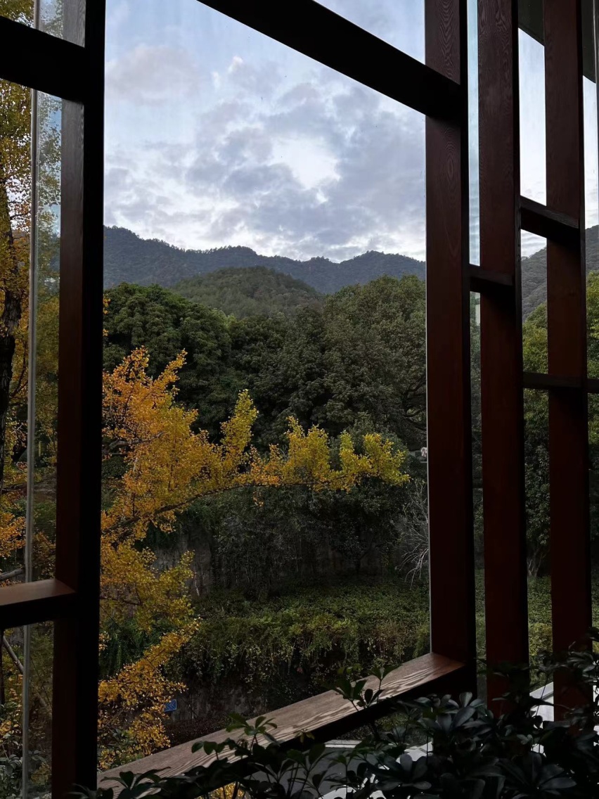 开欧尚X5 PLUS逛秋日千岛湖 我可以不用自己倒车了