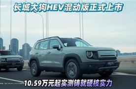 长城大狗HEV混动版正式上市 10.59万元起实测铸就硬核实力