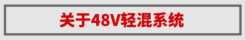 四缸+48V轻混，10万级爆款家用王英朗再上一层楼，火定了！