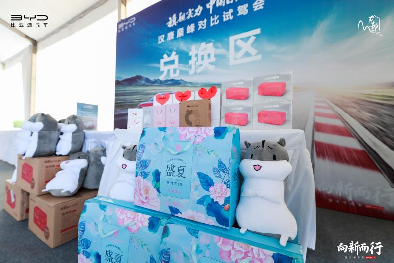 “旗舰实力，中国自信！” ——汉唐巅峰对比试驾会·南京站