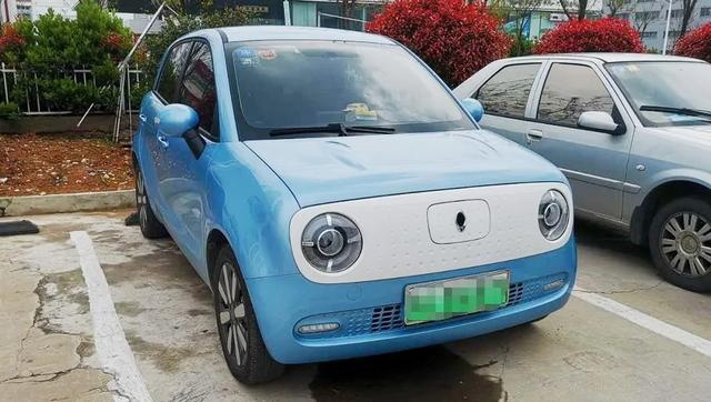 新能源车一年体验,自主品牌表现如何?欧拉车主讲了句实话